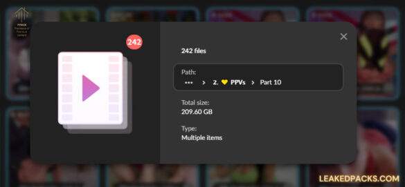 Latest-Mixed-PPVs-ManyVids-Pack-25